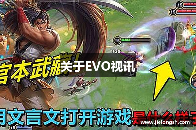 关于EVO视讯